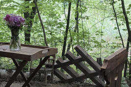 Geburtstag im Wald Zum Geburtstag in den Wald an den See zur Biberspur
